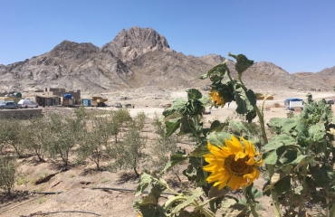 چاه موسی 1