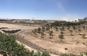 چاه موسی 12