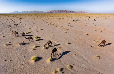 چاه موسی 16
